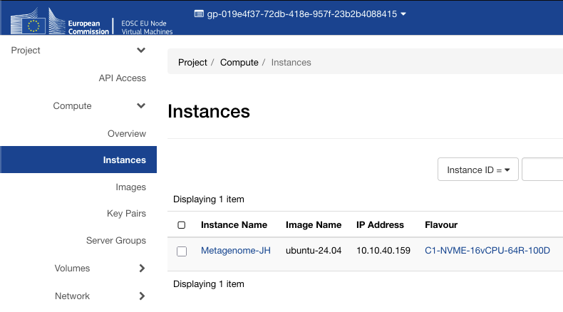 Instances list showing the VM running on ubuntu-24.04, status Active