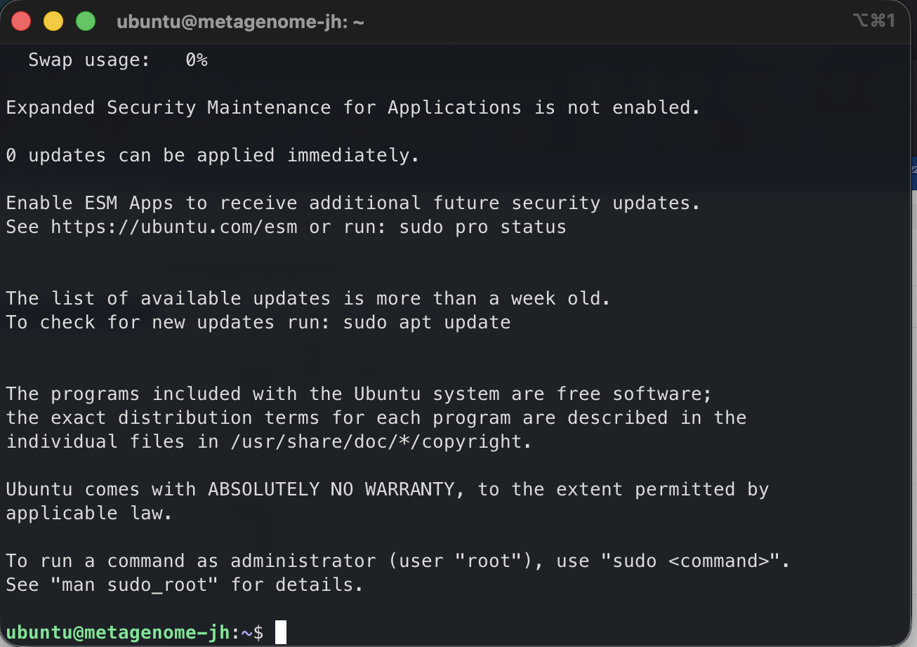 Ubuntu 24.04 login banner after successful SSH connection